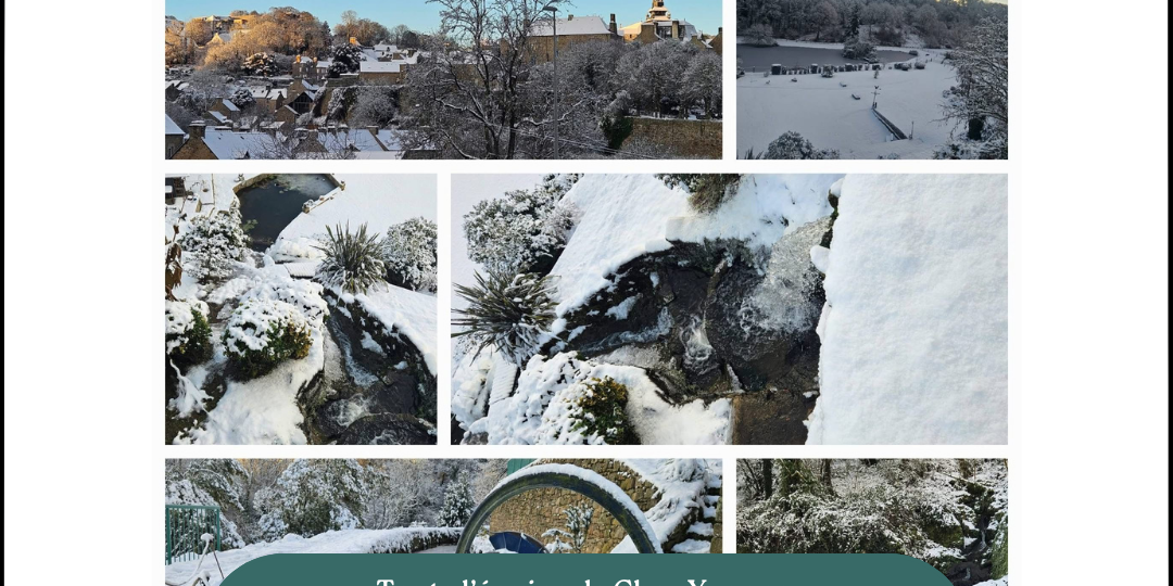 Bonne année 2026 enneigée (1)